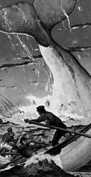 mobydick2