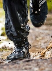 ?????????????????????????