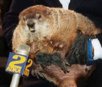 punxsutawneyphil5